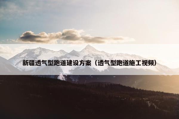 新疆透气型跑道建设方案（透气型跑道施工视频）