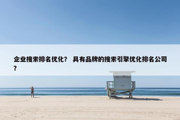 企业搜索排名优化？ 具有品牌的搜索引擎优化排名公司？