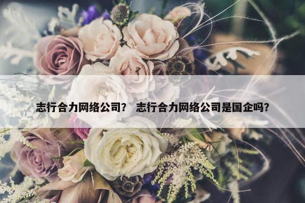 志行合力网络公司？ 志行合力网络公司是国企吗？
