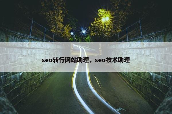 seo转行网站助理，seo技术助理