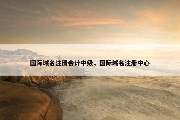 国际域名注册会计中级，国际域名注册中心