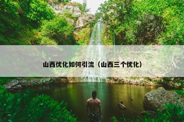 山西优化如何引流（山西三个优化）