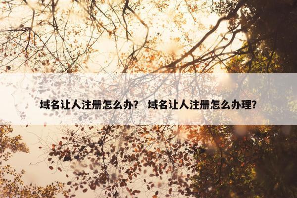 域名让人注册怎么办？ 域名让人注册怎么办理？