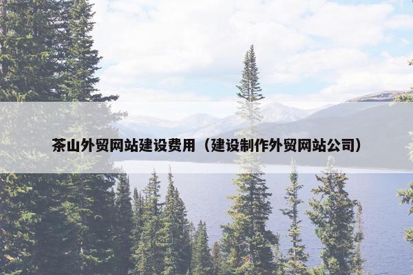 茶山外贸网站建设费用（建设制作外贸网站公司）