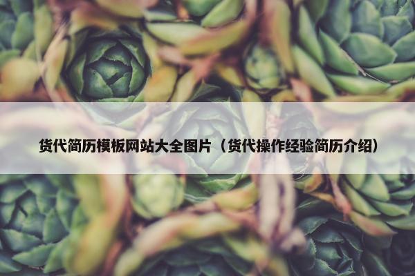 货代简历模板网站大全图片（货代操作经验简历介绍）