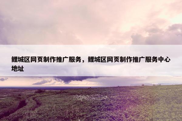 鲤城区网页制作推广服务，鲤城区网页制作推广服务中心地址
