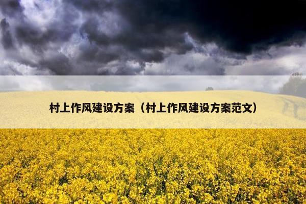 村上作风建设方案（村上作风建设方案范文）