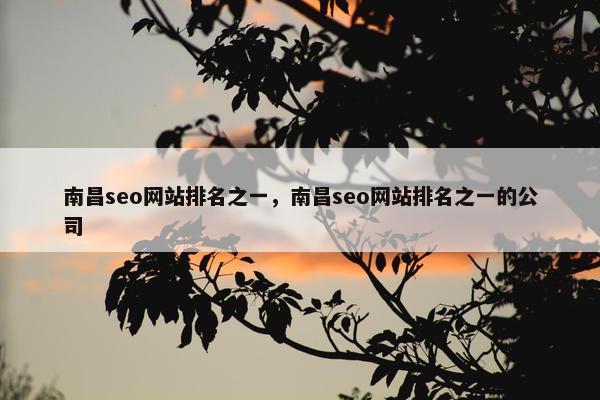 南昌seo网站排名之一，南昌seo网站排名之一的公司
