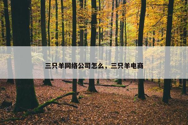 三只羊网络公司怎么，三只羊电商