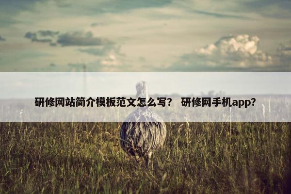 研修网站简介模板范文怎么写？ 研修网手机app？