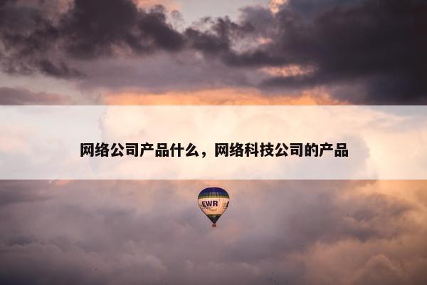 网络公司产品什么，网络科技公司的产品