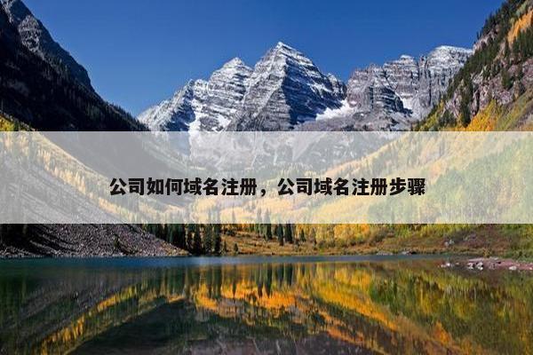 公司如何域名注册，公司域名注册步骤