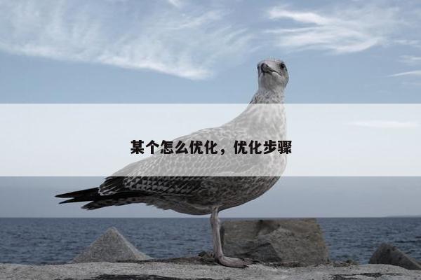 某个怎么优化，优化步骤