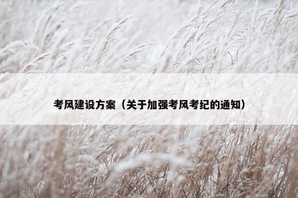 考风建设方案（关于加强考风考纪的通知）