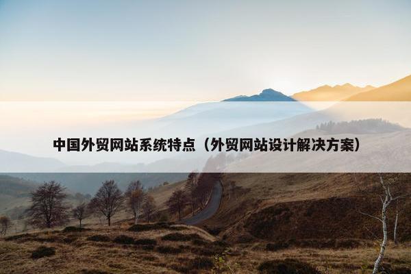 中国外贸网站系统特点（外贸网站设计解决方案）