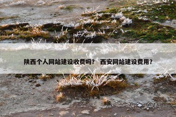 陕西个人网站建设收费吗？ 西安网站建设费用？