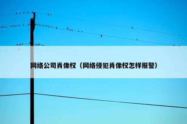 网络公司肖像权（网络侵犯肖像权怎样报警）