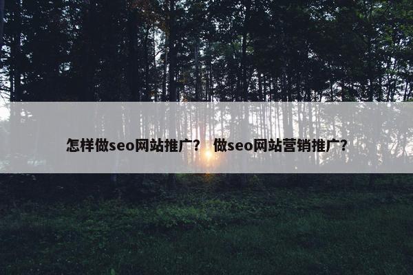 怎样做seo网站推广？ 做seo网站营销推广？
