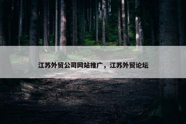江苏外贸公司网站推广，江苏外贸论坛