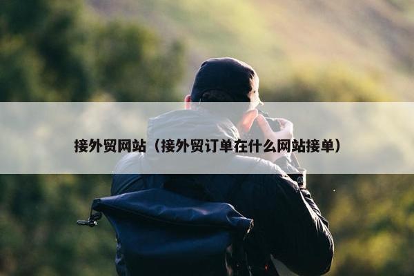 接外贸网站（接外贸订单在什么网站接单）