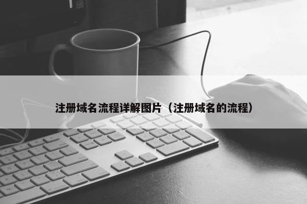 注册域名流程详解图片（注册域名的流程）