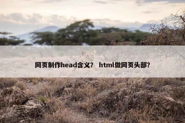 网页制作head含义？ html做网页头部？