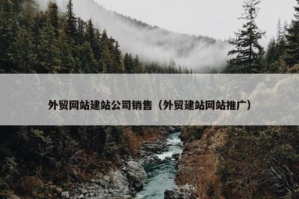 外贸网站建站公司销售（外贸建站网站推广）