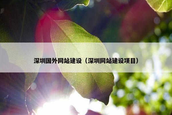 深圳国外网站建设（深圳网站建设项目）