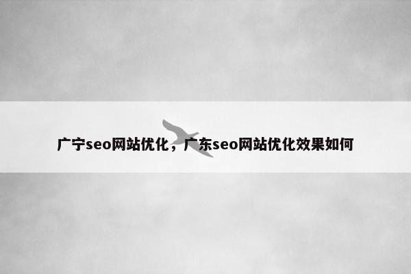 广宁seo网站优化，广东seo网站优化效果如何