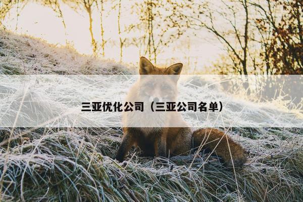 三亚优化公司（三亚公司名单）