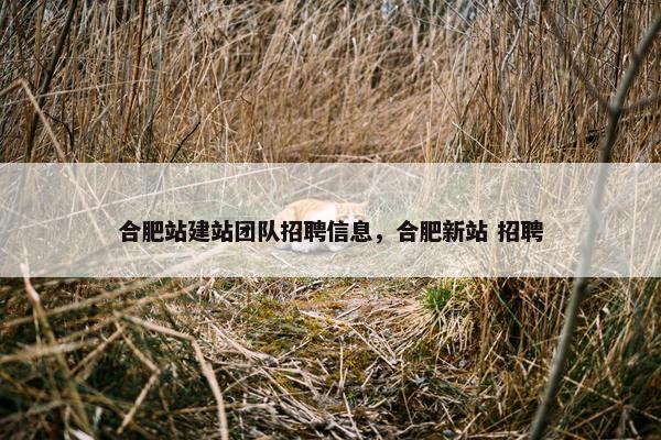 合肥站建站团队招聘信息，合肥新站 招聘