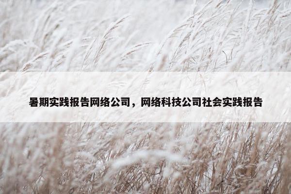 暑期实践报告网络公司，网络科技公司社会实践报告
