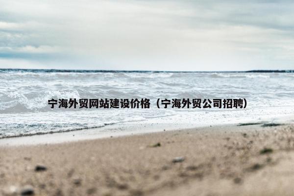宁海外贸网站建设价格（宁海外贸公司招聘）
