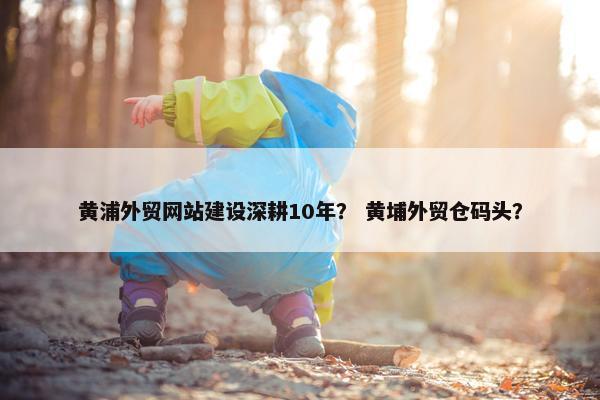 黄浦外贸网站建设深耕10年？ 黄埔外贸仓码头？