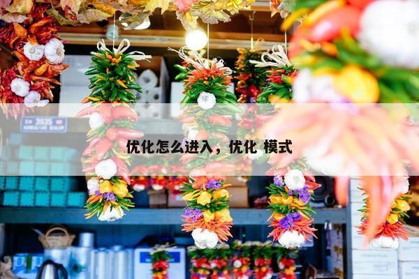 优化怎么进入，优化 模式