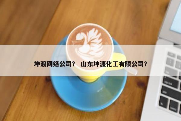 坤渡网络公司？ 山东坤渡化工有限公司？
