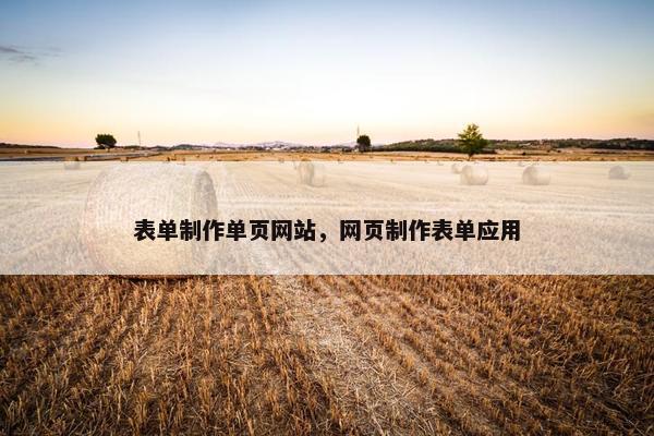 表单制作单页网站，网页制作表单应用
