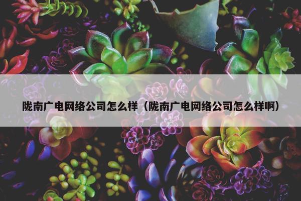陇南广电网络公司怎么样（陇南广电网络公司怎么样啊）