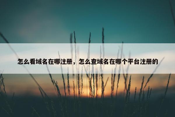 怎么看域名在哪注册，怎么查域名在哪个平台注册的