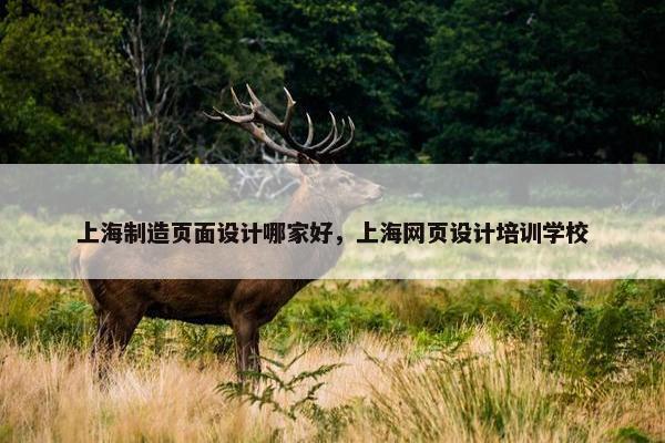 上海制造页面设计哪家好，上海网页设计培训学校