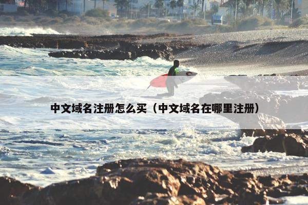 中文域名注册怎么买（中文域名在哪里注册）