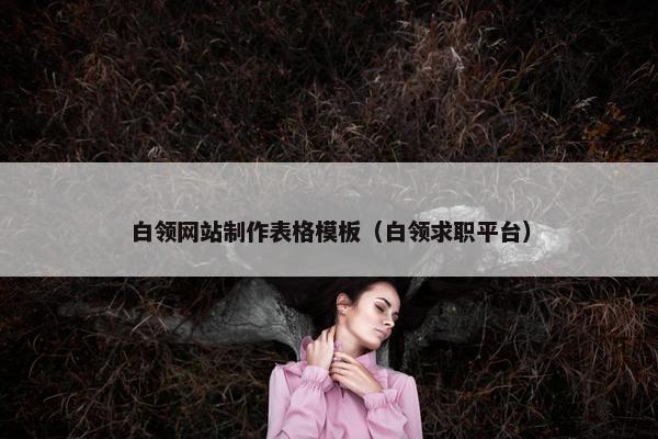 白领网站制作表格模板（白领求职平台）