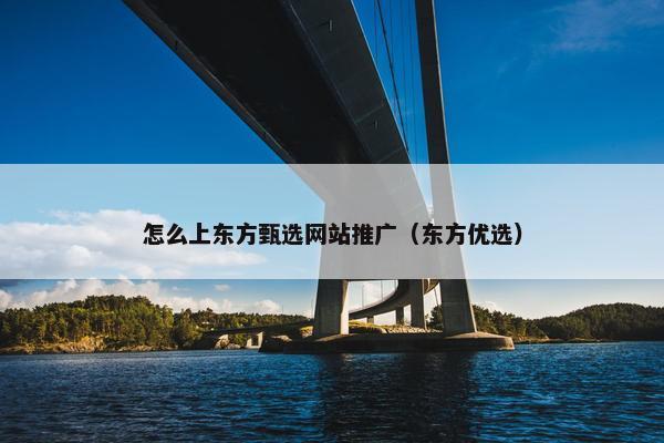 怎么上东方甄选网站推广（东方优选）