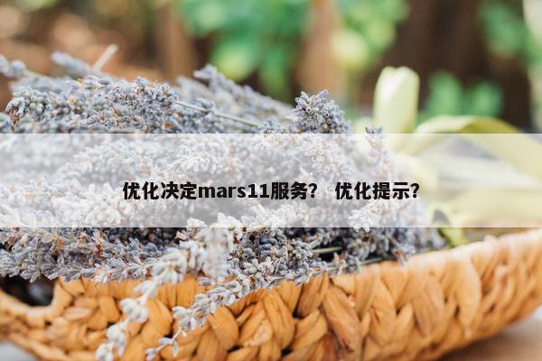 优化决定mars11服务？ 优化提示？