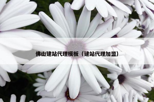 佛山建站代理模板（建站代理加盟）