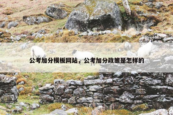 公考加分模板网站，公考加分政策是怎样的
