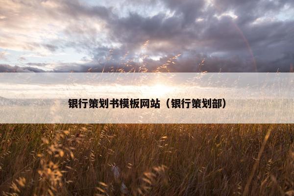 银行策划书模板网站（银行策划部）