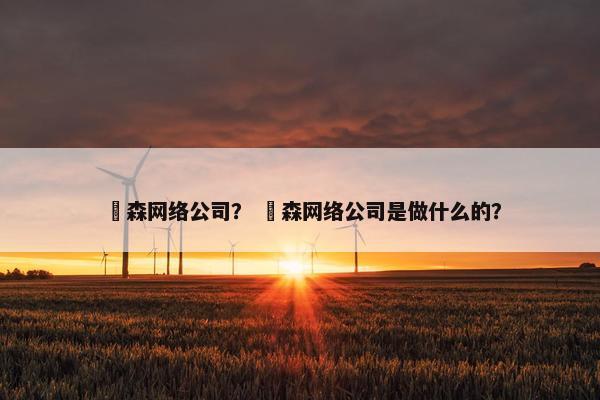 喆森网络公司？ 喆森网络公司是做什么的？