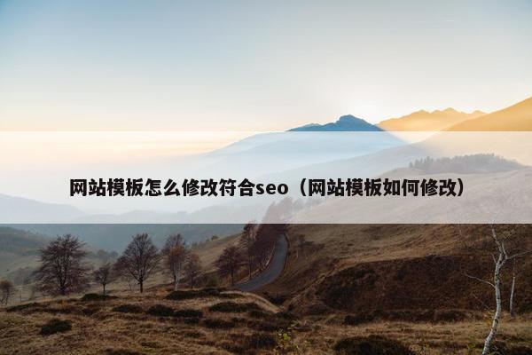 网站模板怎么修改符合seo（网站模板如何修改）