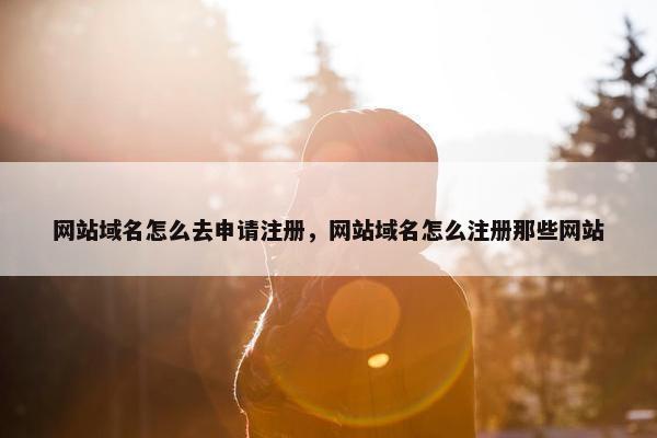 网站域名怎么去申请注册，网站域名怎么注册那些网站